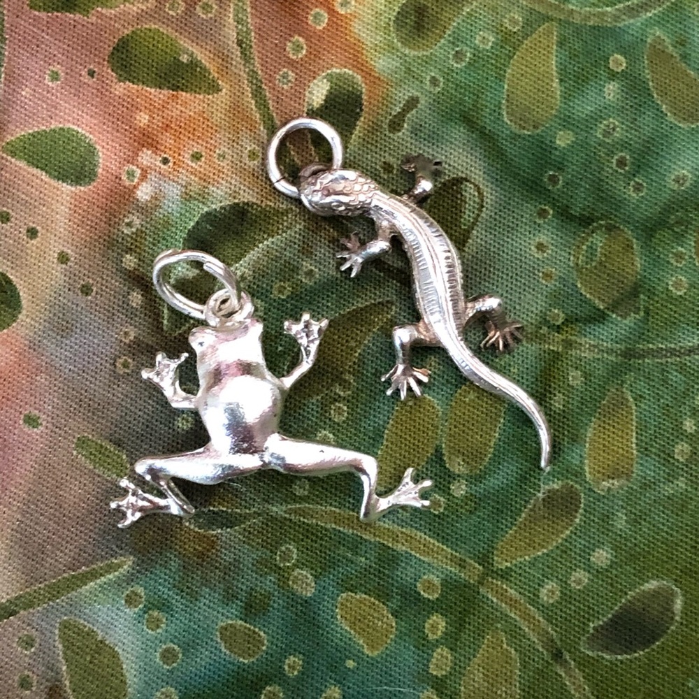 Silver Frog and Lizard Charms/Pendants